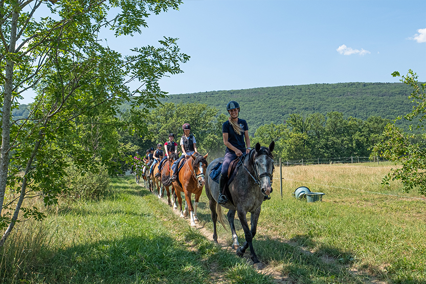 Horseriding